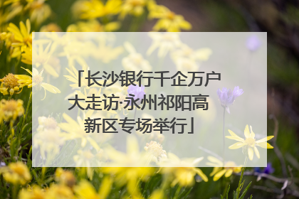 长沙银行千企万户大走访·永州祁阳高新区专场举行