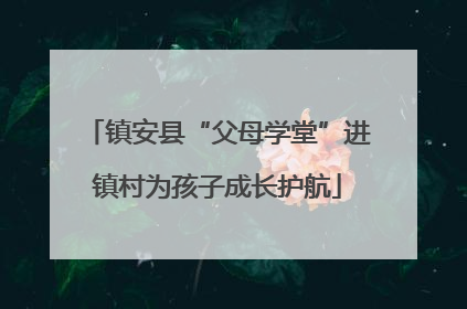 镇安县“父母学堂”进镇村为孩子成长护航