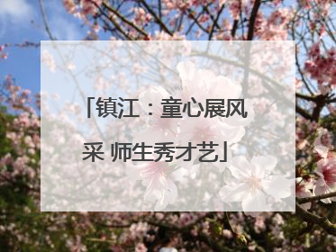 镇江：童心展风采 师生秀才艺