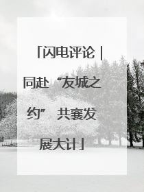 闪电评论｜同赴“友城之约” 共襄发展大计