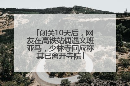 闭关10天后，网友在高铁站偶遇文班亚马，少林寺回应称其已离开寺院