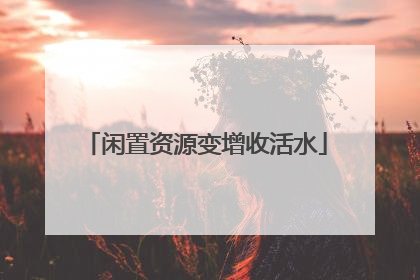 闲置资源变增收活水