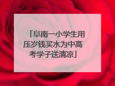 阜南一小学生用压岁钱买水为中高考学子送清凉