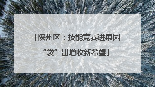 陕州区：技能竞赛进果园 “袋”出增收新希望