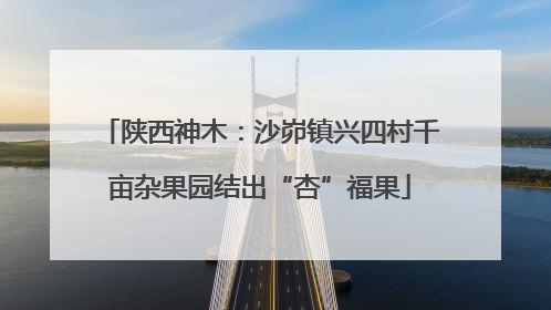 陕西神木：沙峁镇兴四村千亩杂果园结出“杏”福果
