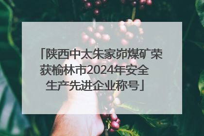 陕西中太朱家峁煤矿荣获榆林市2024年安全生产先进企业称号