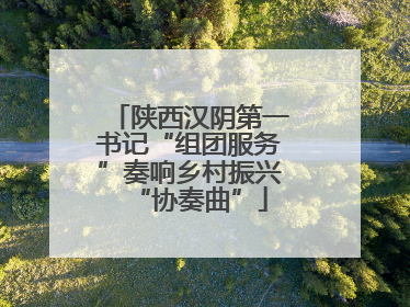 陕西汉阴第一书记“组团服务”奏响乡村振兴“协奏曲”