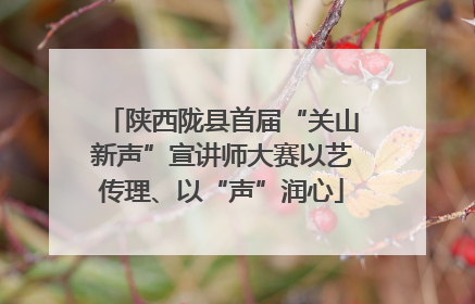 陕西陇县首届“关山新声”宣讲师大赛以艺传理、以“声”润心