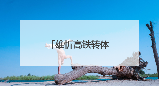 雄忻高铁转体成功，奏响区域发展新乐章