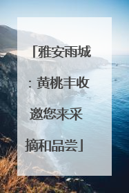 雅安雨城：黄桃丰收 邀您来采摘和品尝