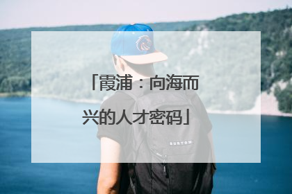 霞浦：向海而兴的人才密码