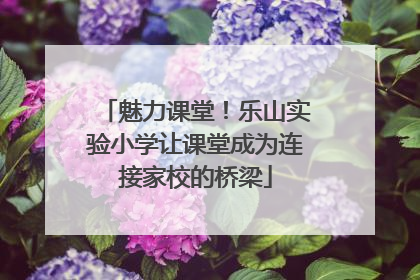 魅力课堂！乐山实验小学让课堂成为连接家校的桥梁