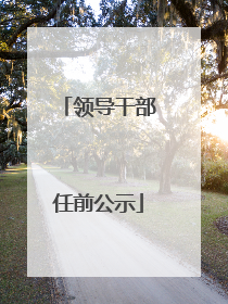 领导干部任前公示