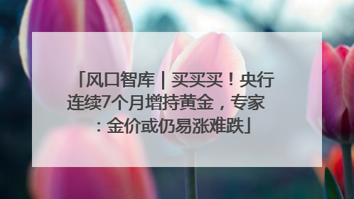 风口智库｜买买买！央行连续7个月增持黄金，专家：金价或仍易涨难跌