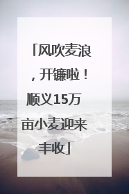 风吹麦浪，开镰啦！顺义15万亩小麦迎来丰收