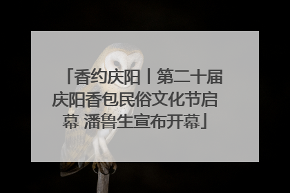 香约庆阳丨第二十届庆阳香包民俗文化节启幕 潘鲁生宣布开幕