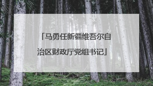 马勇任新疆维吾尔自治区财政厅党组书记