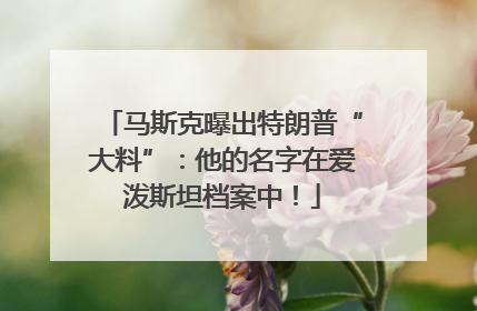 马斯克曝出特朗普“大料”：他的名字在爱泼斯坦档案中！