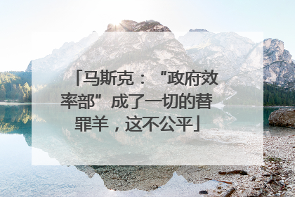 马斯克：“政府效率部”成了一切的替罪羊，这不公平