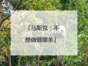 马斯克：不想做替罪羊