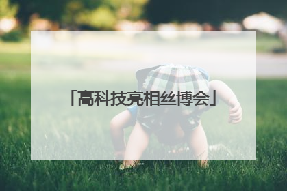 高科技亮相丝博会