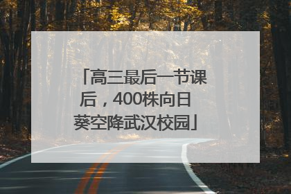 高三最后一节课后，400株向日葵空降武汉校园