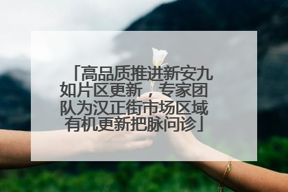 高品质推进新安九如片区更新，专家团队为汉正街市场区域有机更新把脉问诊