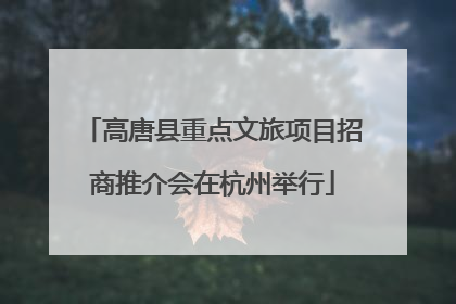 高唐县重点文旅项目招商推介会在杭州举行