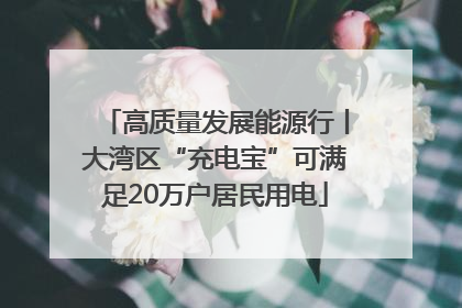 高质量发展能源行丨大湾区“充电宝”可满足20万户居民用电