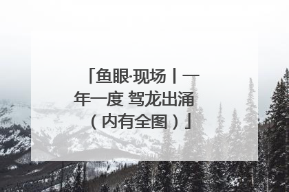 鱼眼·现场丨一年一度 驾龙出涌（内有全图）