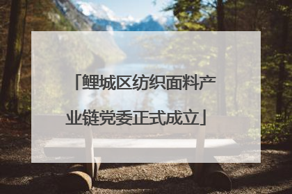 鲤城区纺织面料产业链党委正式成立