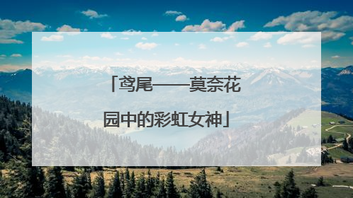 鸢尾——莫奈花园中的彩虹女神