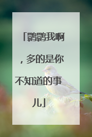 鹮鹮我啊，多的是你不知道的事儿