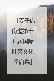 麦子店街道第十五届国际社区文化季启幕