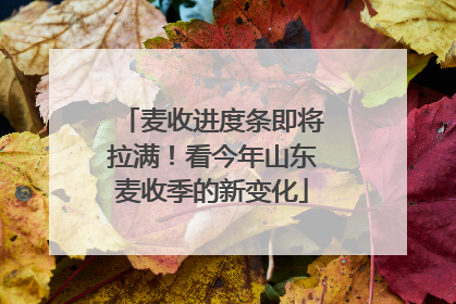 麦收进度条即将拉满！看今年山东麦收季的新变化