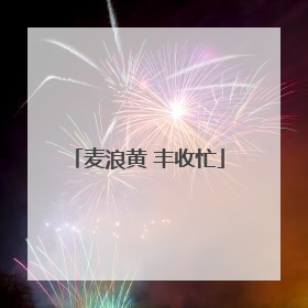 麦浪黄 丰收忙