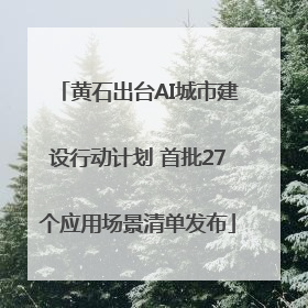 黄石出台AI城市建设行动计划 首批27个应用场景清单发布