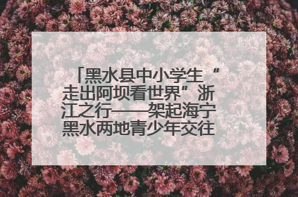 黑水县中小学生“走出阿坝看世界”浙江之行——架起海宁黑水两地青少年交往交流交融新桥梁