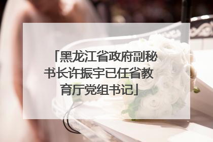 黑龙江省政府副秘书长许振宇已任省教育厅党组书记