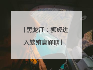 黑龙江：狮虎进入繁殖高峰期