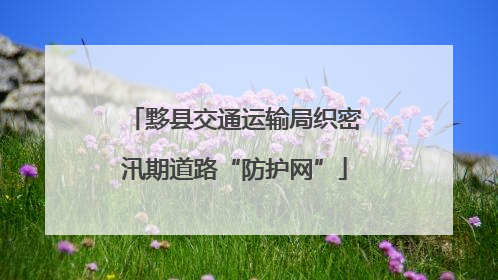 黟县交通运输局织密汛期道路“防护网”