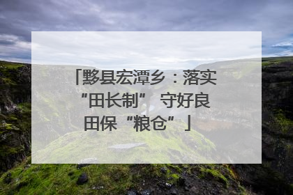黟县宏潭乡：落实“田长制” 守好良田保“粮仓”