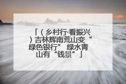 （乡村行·看振兴）吉林辉南荒山变“绿色银行” 绿水青山有“钱景”