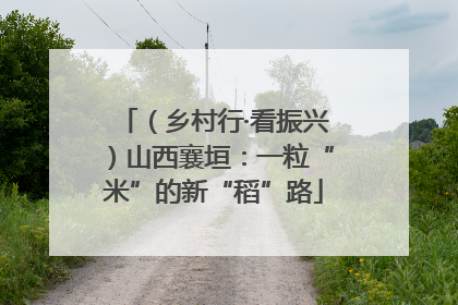 （乡村行·看振兴）山西襄垣：一粒“米”的新“稻”路