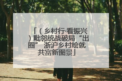 （乡村行·看振兴）毗邻统战破局“出圈” 浙沪乡村绘就共富新图景