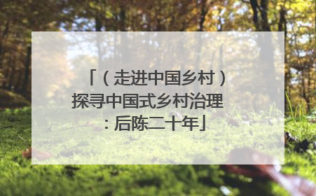 （走进中国乡村）探寻中国式乡村治理：后陈二十年