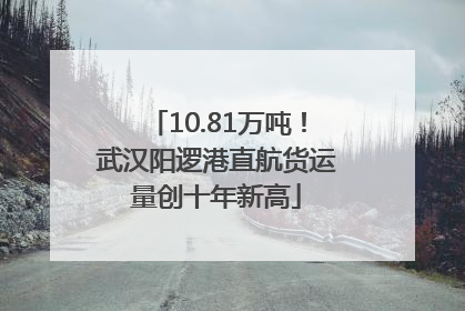 10.81万吨！武汉阳逻港直航货运量创十年新高