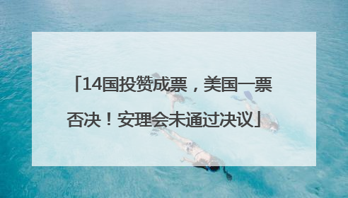 14国投赞成票，美国一票否决！安理会未通过决议