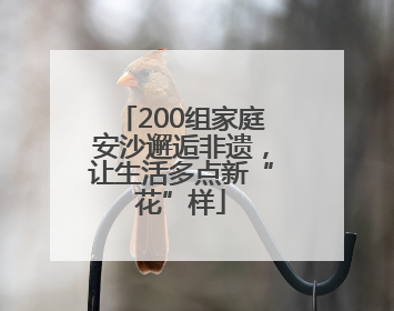 200组家庭安沙邂逅非遗，让生活多点新“花”样