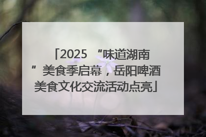 2025 “味道湖南”美食季启幕，岳阳啤酒美食文化交流活动点亮